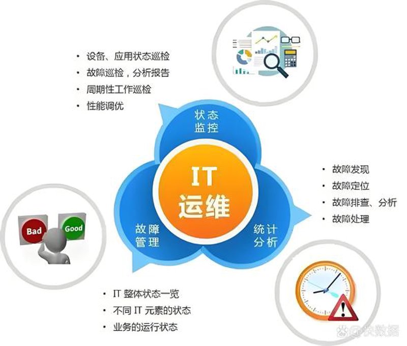 定制软件如何成为企业数字化转型的加速器？